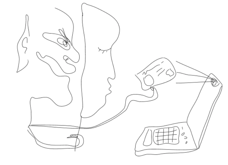 Desenho a lápis.