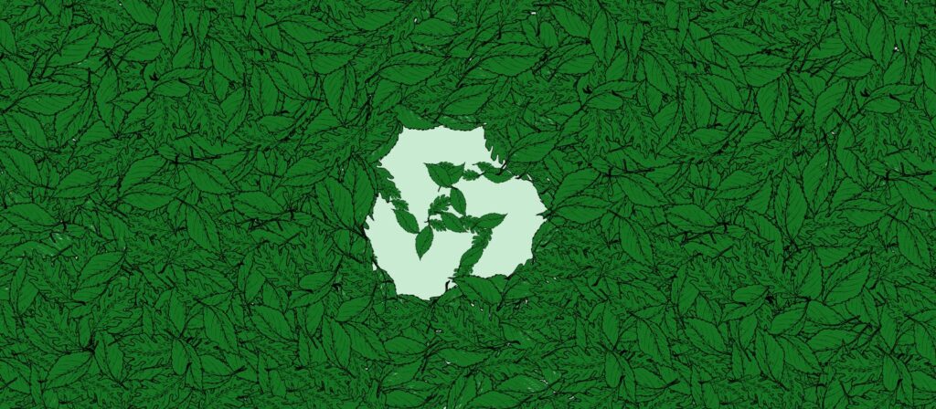 5 Ways Startups Can Make a Positive Environmental Impact