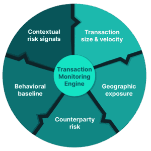Common inputs to a transaction monitoring engine