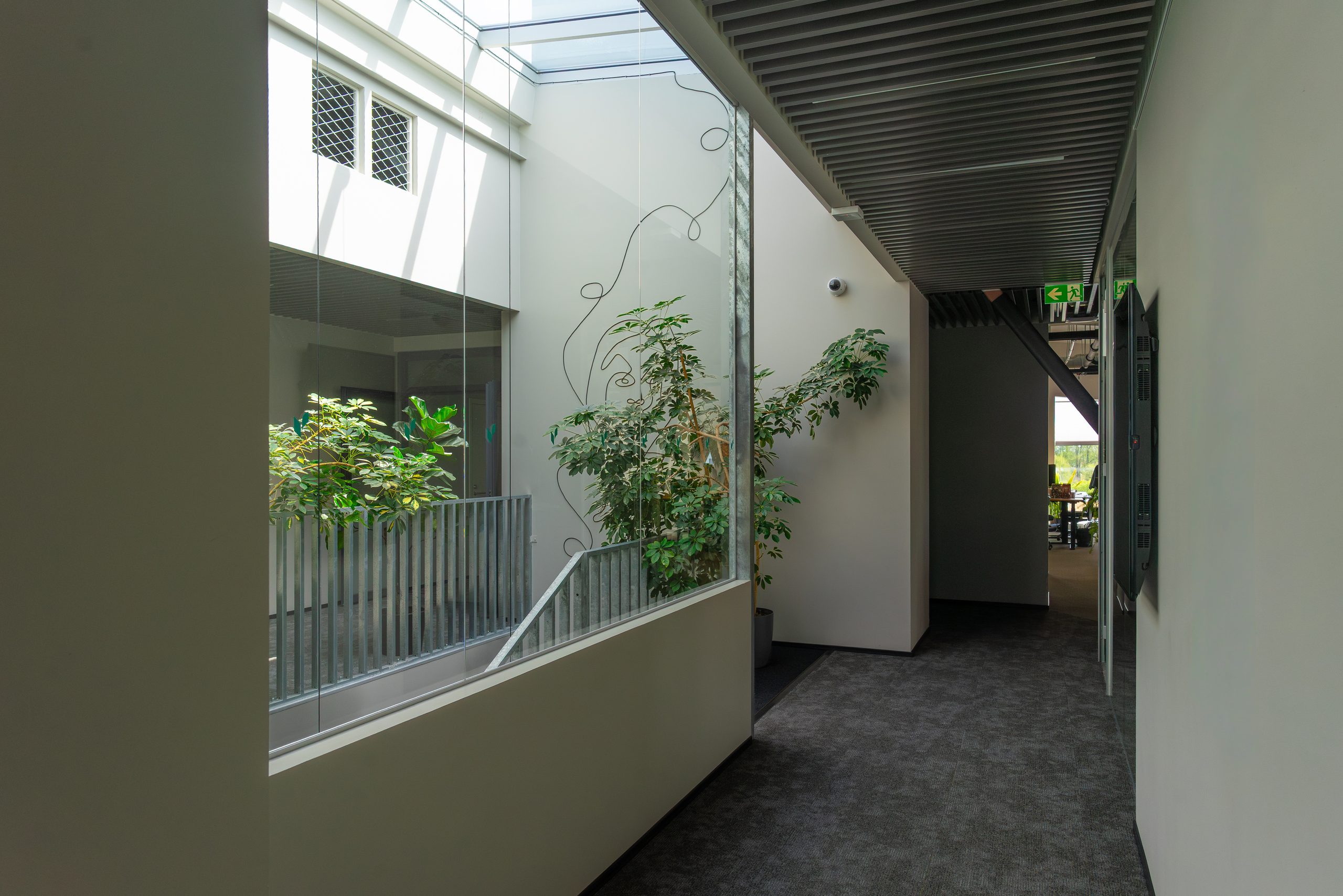 A modern building interior featuring a bright atrium with plants, a glass railing, and a hallway on the right.